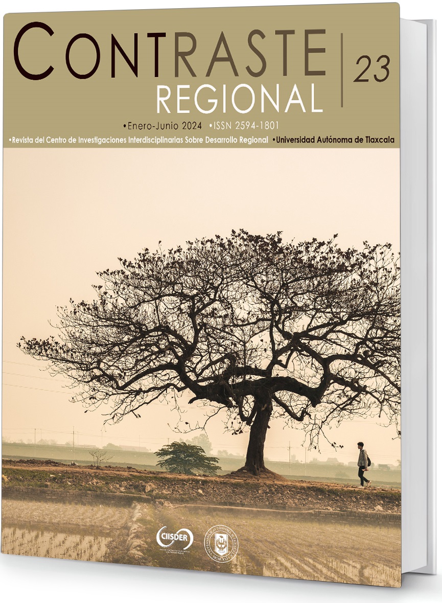 portada contraste regional 19